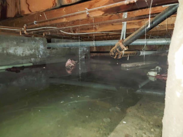 Best Residential water damage restoration  in Sabina, OH