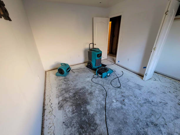 Best Flood restoration services  in Sabina, OH