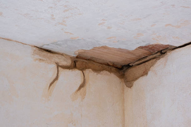 Best Water damage restoration cost  in Sabina, OH