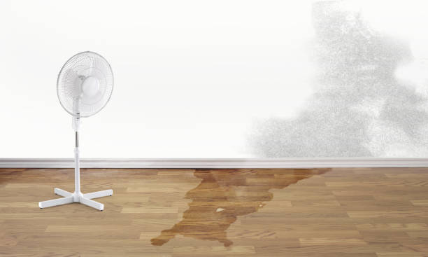 Best Ceiling water damage repair  in Sabina, OH