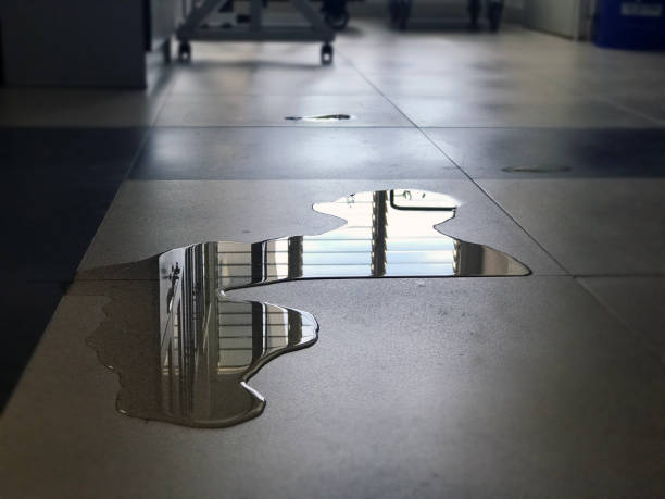 Best Water damage restoration near me  in Sabina, OH