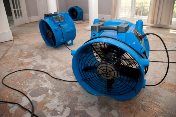 Reliable Sabina, OH Water damage restoration Solutions