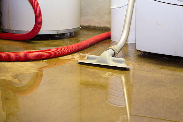 Best Fire Damage Restoration  in Sabina, OH