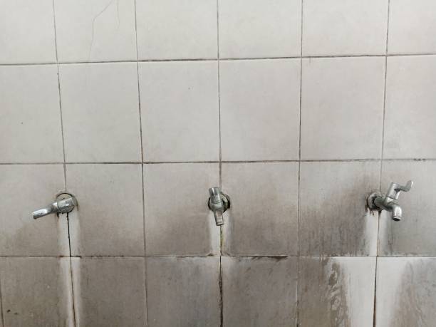 Best Flooded house restoration  in Sabina, OH