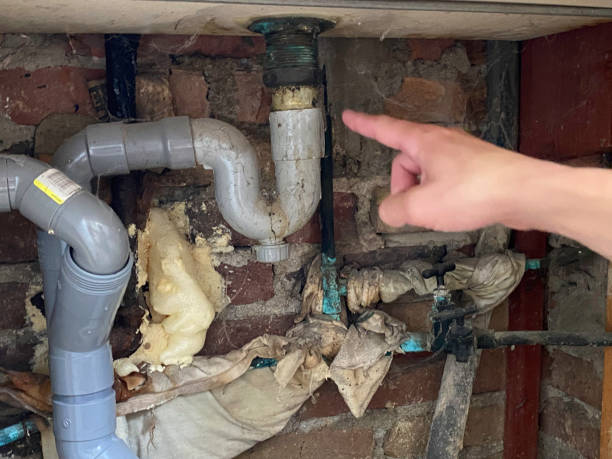 Best Carpet water damage restoration  in Sabina, OH